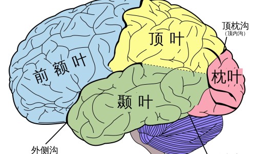 人长得漂亮-长的漂亮但人缘不好网-分享长的漂亮但人缘不好的女生，人长的漂亮不如命好知识库